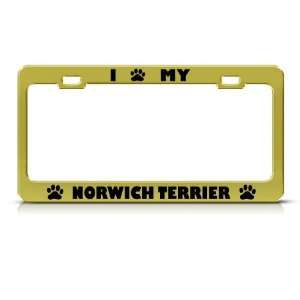  Norwich Terrier Dog Animal Metal License Plate Frame Tag 