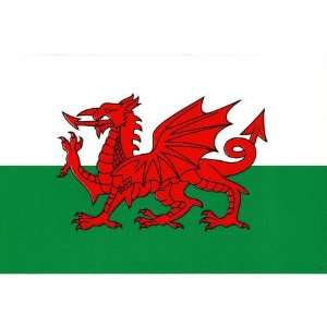  Wales Flag Patio, Lawn & Garden