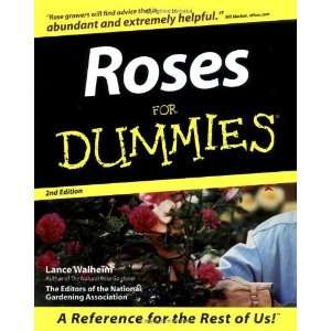  Roses for Dummies [Paperback] Lance Walheim Books