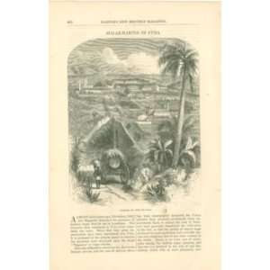    1865 Sugar Making in Cuba Yngenio El Flor De Cuba 