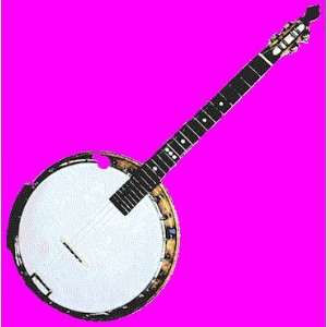  Learn to Play the Banjo by Joe Amico 