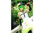 Vocaloid camellia Gumi dress Cosplay Costume +glove+hat Anime  