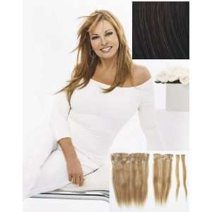  Raquel Welch   2 Piece Human Hair Extensions   Chocolate 