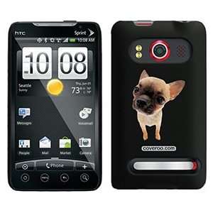  Chihuahua Puppy on HTC Evo 4G Case  Players 