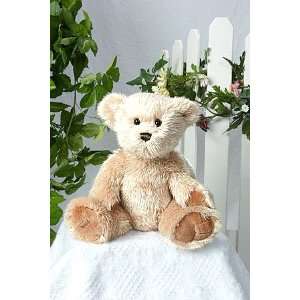   Fashion Bear Make Your Own *NO SEW* Stuffed Animal Kit Toys & Games