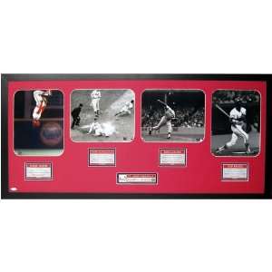  Cardinals Steiner Cardinals Dynasty Collage Plaque Sports 