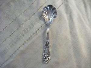 Reed & Barton silver Tiger Lily sugar spoon 1901  