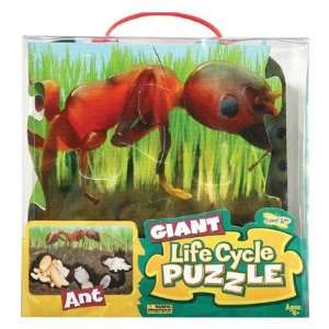  Insect Lore ILP7445 Ant Giant Lifecycle Puzzle Toys 