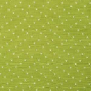 Springcreek   Lime Indoor Multipurpose Fabric Arts 