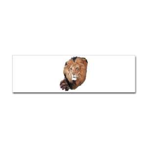  Bumper Sticker Lion Head 