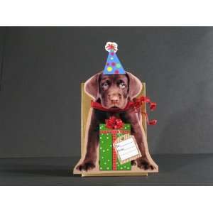  Gift Card Holder   Outrageous 3D Gift Box   Choc. Lab 