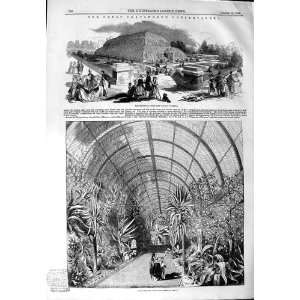  1844 CHATSWORTH CONSERVATORY ITALIAN TERRACE PLANTS