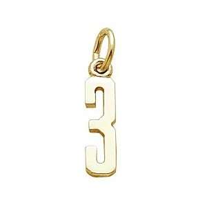  Rembrandt Charms Number 3 Charm, 10K Yellow Gold Jewelry
