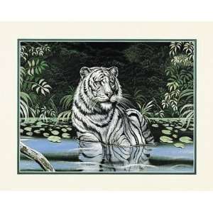 Wading White Tiger Poster Print 