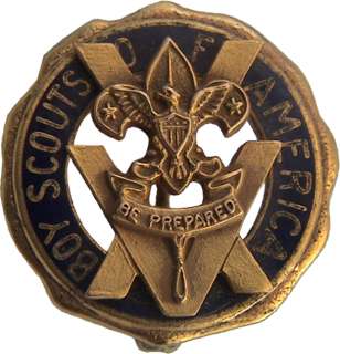 Boy Cub Eagle Scout Patch Badge Rank 15 Year Pin BSA OA Medal Award 
