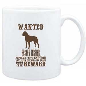   Wanted Boston Terrier   $1000 Cash Reward  Dogs