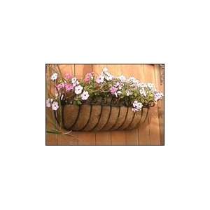  48 Scroll Trough Window Box Planter with Coconut Liner 