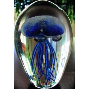 Glowing Jellyfish with LED 4 color Light Base   Blue JellyFish Glows 