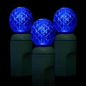  Commercial Grade LED G12 Light String of 25   Blue