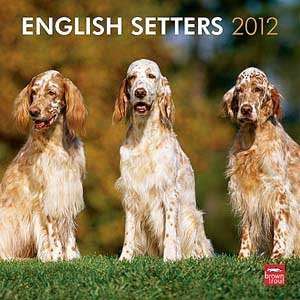  2012 English Setters Calendar