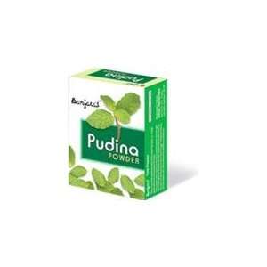  Banjaras Pudina Powder 200g