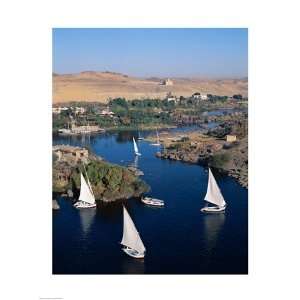  Feluccas on the Nile River 0.00 x 0.00 Poster Print 