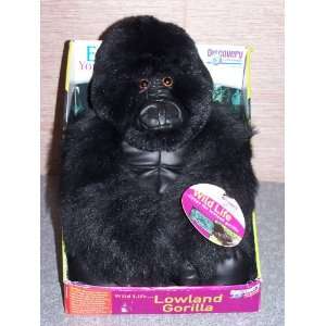  Congo the Lowland Gorilla (Wildlife Series) Toys & Games