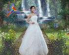 Fantasy Wedding Collection 2 Digital Photo Backgrounds, Backdrops