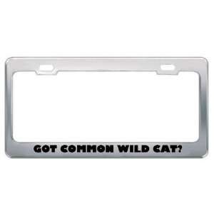 Got Common Wild Cat? Animals Pets Metal License Plate Frame Holder 