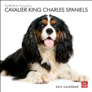   King Charles Spaniels 2012 Wall Calendar 12 X 12