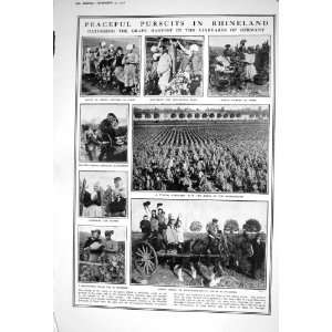  1922 GRAPE HARVEST VINEYARDS GERMANY RHINELAND INDUSTRY 