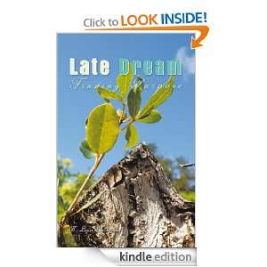 Late DreamFinding Purpose B. Louis Richardson  Kindle 