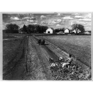   ,US during,World War II,yield,corn crop,nation,1940