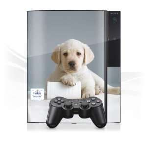  Design Skins for Sony Playstation 3 [unilateral]   Hakle 5 