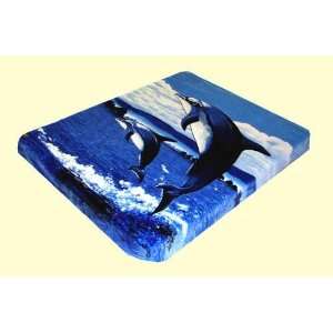  Wonu Trix Queen Dolphin Mink Blanket