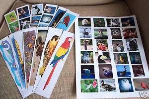 Set of 24 Bird Bookmarks & Stickers for Your Class  