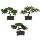   of 3 12  Natural Realistic Looking Bonsai Silk Artificial Faux Plants