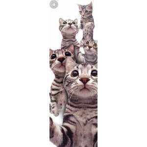    Yaneo Morita   Cats   American Shorthair Canvas