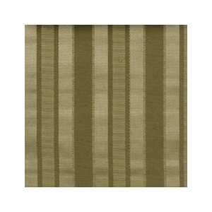  Textured Stripe Hedge 31723 497 by Duralee