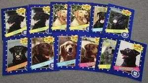   BONE ADVERTISING ALL STAR DRUG DETECTING DOGS COLLECTORS CARDS  