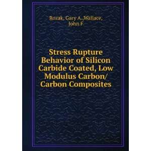  Stress Rupture Behavior of Silicon Carbide Coated, Low 