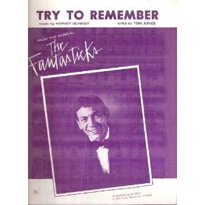   Musical The Fantasticks (Words/Piano/Chords) Ed Ames cover Books