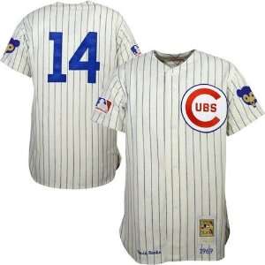 com Mitchell & Ness Chicago Cubs #14 Ernie Banks Pinstripe Throwback 