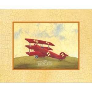 Triplane, Canvas 