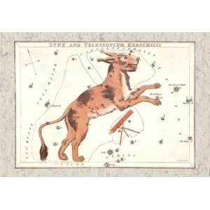  Constellation of Lynx 16X24 Giclee Paper