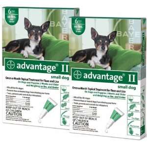  12 MONTH Advantage II Flea Control Small Dog (for Dogs 