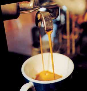 Lavazza Gold/ Espresso Machine  