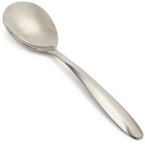 Stainless Steel Serving Spoon, 9 