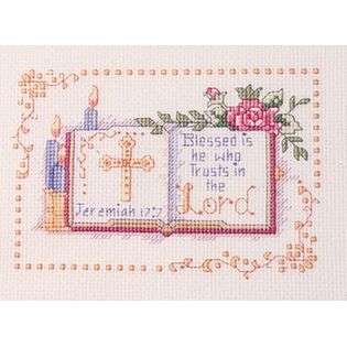 Janlynn I See The Moon Birth Announcement Counted Cross Stitch Kit 