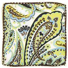 Paisley Splash in Lime Throw Pillow   My Baby Sam   Babies R Us